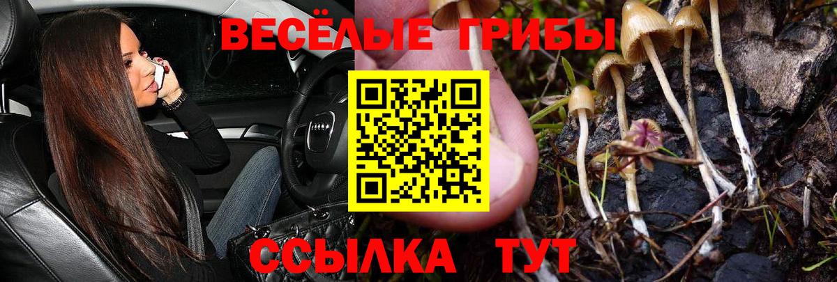 Галлюциногенные грибы мухоморы Барнаул